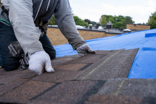 Best Emergency Roof Repair  in Charlevoix, MI